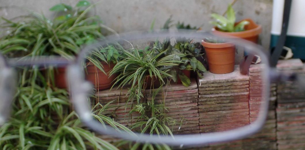 Quelle correction pour la myopie ?