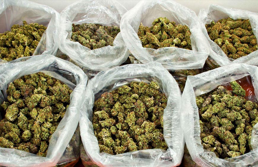 Comment trouver un grossiste CBD fiable et rentable ?